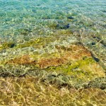 dahab (3)