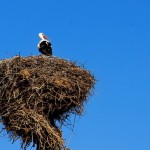 riding-in-armenia (11)
