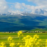 armenia (5)