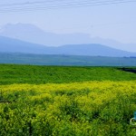 riding-armenia (18)