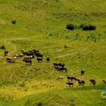 riding-armenia (14)