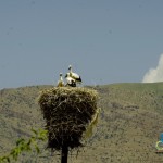 riding-armenia (13)