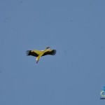 riding-armenia (12)