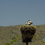 riding-armenia (11)