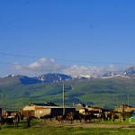 riding-armenia (7)