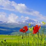 armenia (9)