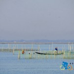 chilika lake (28)