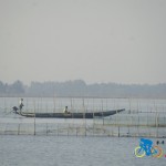 chilika lake (27)