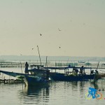 chilika lake (24)