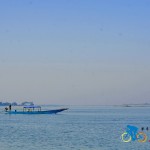 chilika lake (23)