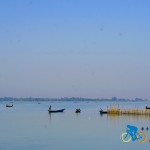 chilika lake (19)