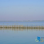 chilika lake (18)