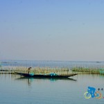 chilika lake (17)