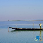 chilika lake (14)