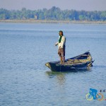 chilika lake (12)