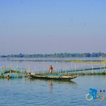 chilika lake (9)