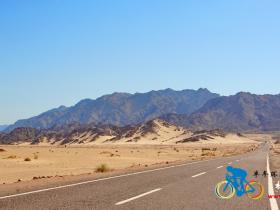 骑在埃及-西奈半岛(sinai)