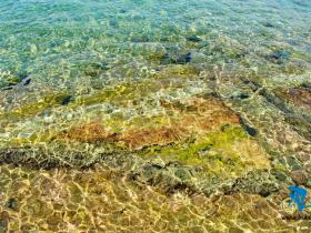 骑在埃及-宰海卜(Dahab)