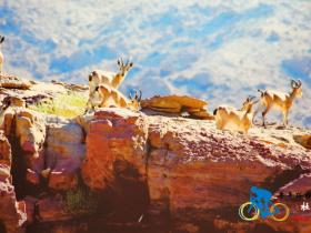 骑在约旦-Wadi Al Mujib